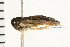  ( - 08BBHEM-175)  @13 [ ] CreativeCommons - Attribution (2010) Unspecified Centre for Biodiversity Genomics