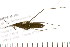  ( - 08BBHEM-184)  @13 [ ] CreativeCommons - Attribution (2010) Unspecified Centre for Biodiversity Genomics