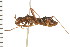  ( - 08BBHEM-238)  @12 [ ] CreativeCommons - Attribution (2008) Unspecified Centre for Biodiversity Genomics