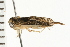  ( - 08BBHEM-281)  @14 [ ] CreativeCommons - Attribution (2008) Unspecified Centre for Biodiversity Genomics