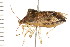  ( - 08BBHEM-354)  @14 [ ] CreativeCommons - Attribution (2008) Unspecified Centre for Biodiversity Genomics