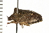  ( - 08BBHEM-364)  @12 [ ] CreativeCommons - Attribution (2008) Unspecified Centre for Biodiversity Genomics