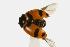  ( - CHU06-COL1-571)  @13 [ ] Unspecified (default): All Rights Reserved  Unspecified Unspecified