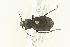  ( - 05CHU-COL-0063)  @13 [ ] Unspecified (default): All Rights Reserved  Unspecified Unspecified
