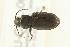 ( - 05CHU-COL-0081)  @13 [ ] Unspecified (default): All Rights Reserved  Unspecified Unspecified