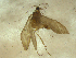  ( - 10HMCAD-028)  @12 [ ] CreativeCommons - Attribution (2010) Unspecified Centre for Biodiversity Genomics