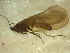  ( - 10HMCAD-045)  @12 [ ] CreativeCommons - Attribution (2010) Unspecified Centre for Biodiversity Genomics