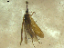  ( - 10HMCAD-052)  @12 [ ] CreativeCommons - Attribution (2010) Unspecified Centre for Biodiversity Genomics