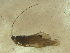  ( - 10HMCAD-055)  @12 [ ] CreativeCommons - Attribution (2010) Unspecified Centre for Biodiversity Genomics