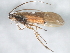  ( - 10HMCAD-321)  @12 [ ] CreativeCommons - Attribution (2010) CBG Photography Group Centre for Biodiversity Genomics