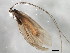  ( - 10HMCAD-333)  @13 [ ] CreativeCommons - Attribution (2010) CBG Photography Group Centre for Biodiversity Genomics