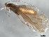  ( - 10HMCAD-335)  @14 [ ] CreativeCommons - Attribution (2010) CBG Photography Group Centre for Biodiversity Genomics