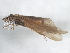 ( - 10HMCAD-336)  @13 [ ] CreativeCommons - Attribution (2010) CBG Photography Group Centre for Biodiversity Genomics