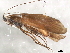  ( - 10HMCAD-352)  @12 [ ] CreativeCommons - Attribution (2010) CBG Photography Group Centre for Biodiversity Genomics