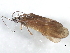  ( - 10HMCAD-353)  @12 [ ] CreativeCommons - Attribution (2010) CBG Photography Group Centre for Biodiversity Genomics