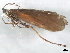  ( - 10HMCAD-354)  @12 [ ] CreativeCommons - Attribution (2010) CBG Photography Group Centre for Biodiversity Genomics