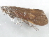  ( - 10HMCAD-357)  @12 [ ] CreativeCommons - Attribution (2010) CBG Photography Group Centre for Biodiversity Genomics