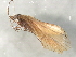  ( - 10HMCAD-397)  @12 [ ] CreativeCommons - Attribution (2010) CBG Photography Group Centre for Biodiversity Genomics