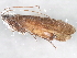  ( - 10HMCAD-546)  @12 [ ] CreativeCommons - Attribution (2010) CBG Photography Group Centre for Biodiversity Genomics