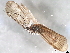  ( - 10HMCAD-562)  @12 [ ] CreativeCommons - Attribution (2010) CBG Photography Group Centre for Biodiversity Genomics