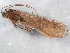  ( - 10HMCAD-564)  @12 [ ] CreativeCommons - Attribution (2010) CBG Photography Group Centre for Biodiversity Genomics