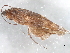  ( - 10HMCAD-565)  @12 [ ] CreativeCommons - Attribution (2010) CBG Photography Group Centre for Biodiversity Genomics