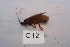  ( - HMCAD0111-36)  @13 [ ] Unspecified (default): All Rights Reserved  none Unspecified