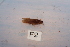  ( - HMCAD0111-62)  @11 [ ] Unspecified (default): All Rights Reserved  none Unspecified