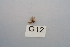  ( - HMCAD0111-84)  @12 [ ] Unspecified (default): All Rights Reserved  none Unspecified