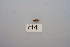  ( - HMCAD0111-88)  @12 [ ] Unspecified (default): All Rights Reserved  none Unspecified