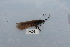  ( - HMCAD0111-110)  @12 [ ] Unspecified (default): All Rights Reserved  none Unspecified