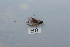  ( - HMCAD0111-115)  @12 [ ] Unspecified (default): All Rights Reserved  none Unspecified