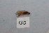  ( - HMCAD0111-173)  @12 [ ] Unspecified (default): All Rights Reserved  none Unspecified