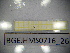  ( - BGE.HMS0716_26)  @11 [ ] CreativeCommons Attribution (2024) Dept Invertebrate Zoology and Hydrobiology, University of Lodz University of Lodz