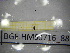  ( - BGE.HMS0716_88)  @11 [ ] CreativeCommons Attribution (2024) Dept Invertebrate Zoology and Hydrobiology, University of Lodz University of Lodz