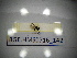  ( - BGE.HMS0716_142)  @11 [ ] CreativeCommons Attribution (2024) Dept Invertebrate Zoology and Hydrobiology, University of Lodz University of Lodz