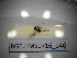  ( - BGE.HMS0716_146)  @11 [ ] CreativeCommons Attribution (2024) Dept Invertebrate Zoology and Hydrobiology, University of Lodz University of Lodz