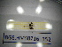  ( - BGE.HMS0716_152)  @11 [ ] CreativeCommons Attribution (2024) Dept Invertebrate Zoology and Hydrobiology, University of Lodz University of Lodz