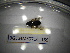  ( - BGE.HMS0716_159)  @11 [ ] CreativeCommons Attribution (2024) Dept Invertebrate Zoology and Hydrobiology, University of Lodz University of Lodz