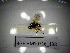  ( - BGE.HMS0716_198)  @11 [ ] CreativeCommons Attribution (2024) Dept Invertebrate Zoology and Hydrobiology, University of Lodz University of Lodz