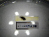  ( - BGE.HMS0716_345)  @11 [ ] CreativeCommons Attribution (2024) Dept Invertebrate Zoology and Hydrobiology, University of Lodz University of Lodz