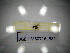  ( - BGE.HMS0716_381)  @11 [ ] CreativeCommons Attribution (2024) Dept Invertebrate Zoology and Hydrobiology, University of Lodz University of Lodz