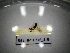  ( - BGE.HMS0716_415)  @11 [ ] CreativeCommons Attribution (2024) Dept Invertebrate Zoology and Hydrobiology, University of Lodz University of Lodz