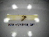  ( - BGE.HMS0716_462)  @11 [ ] CreativeCommons Attribution (2024) Dept Invertebrate Zoology and Hydrobiology, University of Lodz University of Lodz