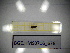  ( - BGE.HMS0716_676)  @11 [ ] CreativeCommons Attribution (2024) Dept Invertebrate Zoology and Hydrobiology, University of Lodz University of Lodz
