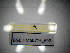  ( - BGE.HMS0716_692)  @11 [ ] CreativeCommons Attribution (2024) Dept Invertebrate Zoology and Hydrobiology, University of Lodz University of Lodz