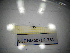  ( - BGE.HMS0716_731)  @11 [ ] CreativeCommons Attribution (2024) Dept Invertebrate Zoology and Hydrobiology, University of Lodz University of Lodz