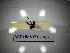 ( - BGE.HMS0716_827)  @11 [ ] CreativeCommons Attribution (2024) Dept Invertebrate Zoology and Hydrobiology, University of Lodz University of Lodz