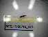  ( - BGE.HMS0716_840)  @11 [ ] CreativeCommons Attribution (2024) Dept Invertebrate Zoology and Hydrobiology, University of Lodz University of Lodz