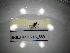  ( - BGE.HMS0716_859)  @11 [ ] CreativeCommons Attribution (2024) Dept Invertebrate Zoology and Hydrobiology, University of Lodz University of Lodz